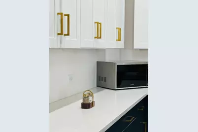 185 N Blushing Drive, Cedar Creek, TX 78612 - Photo 9