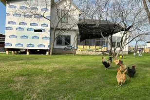 185 N Blushing Dr, Cedar Creek, TX 78612 - Photo 29