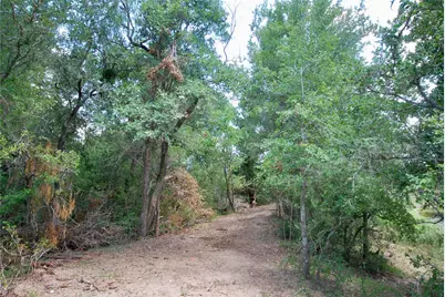 Tbd Cr 420, Waelder, TX 78959 - Photo 35