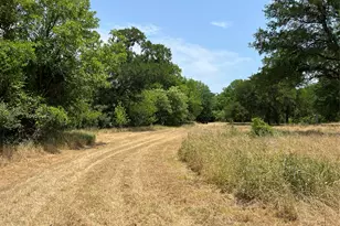 124 Valley Creek Dr, Cedar Creek, TX 78612 - Photo 9