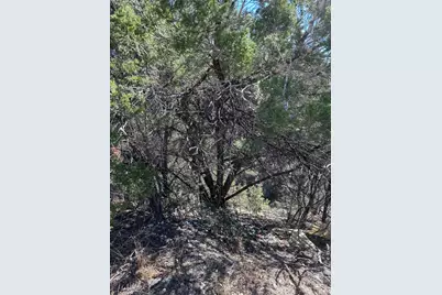 9332 Oxbow Circle, Lago Vista, TX 78645 - Photo 5