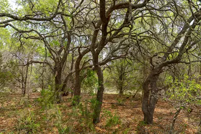 31171 Ranch Road 12, Dripping Springs, TX 78620 - Photo 13