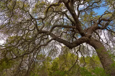 31171 Ranch Road 12, Dripping Springs, TX 78620 - Photo 15