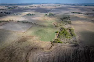 4100 County Road 101 Rd, Taylor, TX 76574 - Photo 11