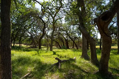 1294 Crabapple Road, Blanco, TX 78606 - Photo 23