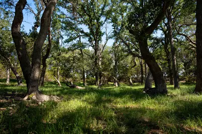 1294 Crabapple Road, Blanco, TX 78606 - Photo 29
