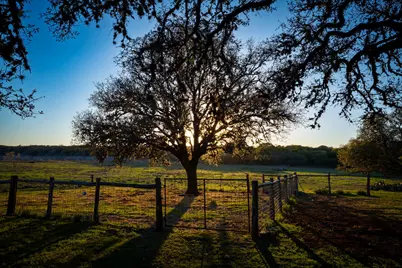 1294 Crabapple Road, Blanco, TX 78606 - Photo 17