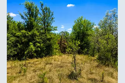 221 Fawn Ridge Road, Cedar Creek, TX 78612 - Photo 5