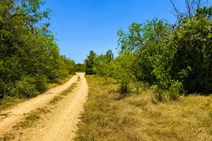 221 Fawn Ridge Rd, Cedar Creek, TX 78612 - Photo 1