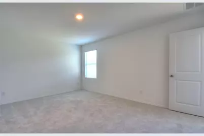 336 Dragonfly Park, Hutto, TX 78634 - Photo 19