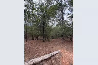 Lots 216 and 217 Hekili Drive, Bastrop, TX 78602 - Photo 5