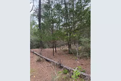 Lots 216 and 217 Hekili Drive, Bastrop, TX 78602 - Photo 11