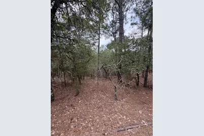 Lots 216 and 217 Hekili Drive, Bastrop, TX 78602 - Photo 7