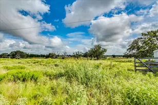 595 Cardinal Rd, Rosanky, TX 78953 - Photo 39