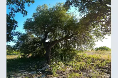Lot 42 Serenity Drive, Bertram, TX 78605 - Photo 3