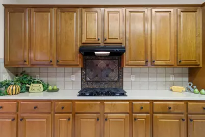 106 Swallowtail Circle, Georgetown, TX 78633 - Photo 19