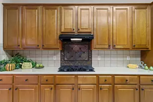 106 Swallowtail Cir, Georgetown, TX 78633 - Photo 19