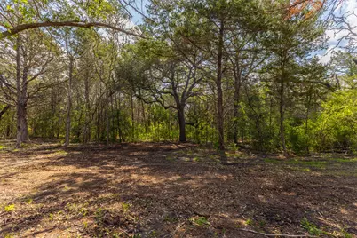 1910 (Tract #1) Baca Loop, Flatonia, TX 78941 - Photo 9
