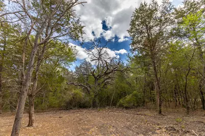 1910 (Tract #1) Baca Loop, Flatonia, TX 78941 - Photo 9