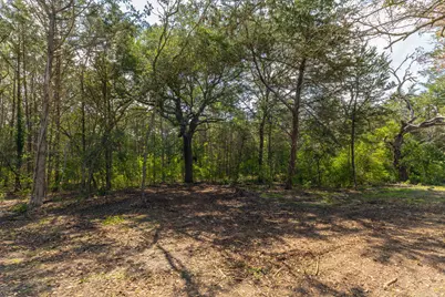 1910 (Tract #1) Baca Loop, Flatonia, TX 78941 - Photo 7