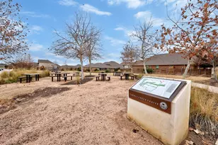 307 Simmental Loop, Hutto, TX 78634 - Photo 31