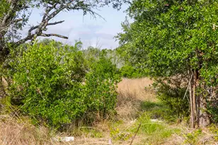 Lot 50 Mountain Laurel Ln, Spicewood, TX 78669 - Photo 9