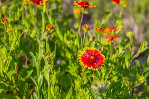 Lot 50 Mountain Laurel Ln, Spicewood, TX 78669 - Photo 31