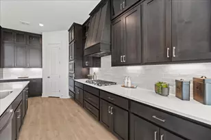 530 Diamondleaf Dr, Buda, TX 78610 - Photo 13