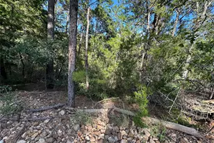 169 Molokini Dr, Bastrop, TX 78602 - Photo 1