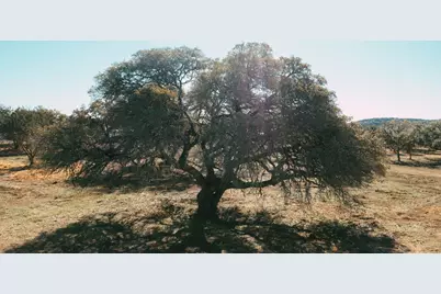 268 Kinnikinik Lot 11 and 12 Loop, Austin, TX 78737 - Photo 1