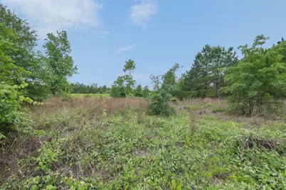 Tbd Lot 20C County Road, Bastrop, TX 78602 - Photo 1