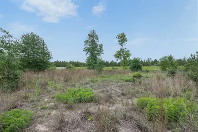 Tbd Lot 20C County Road, Bastrop, TX 78602 - Photo 13
