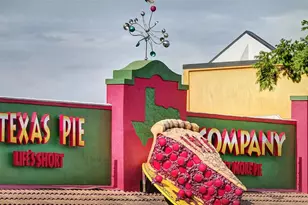 338 Prickly Poppy Loop, Kyle, TX 78640 - Photo 35