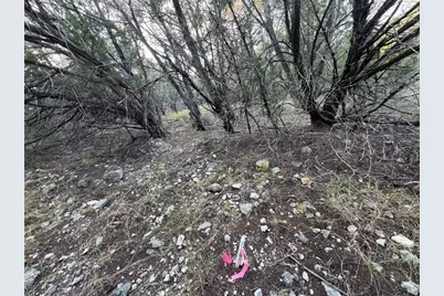 918 Debco Lane, Spicewood, TX 78669 - Photo 9