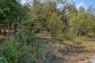 165 Thousand Oaks Dr, Cedar Creek, TX 78612 - Photo 21