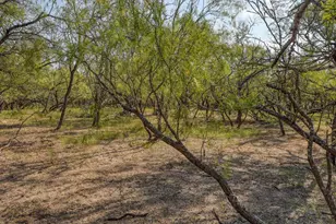 165 Thousand Oaks Dr, Cedar Creek, TX 78612 - Photo 23