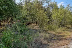 165 Thousand Oaks Dr, Cedar Creek, TX 78612 - Photo 21