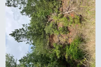 Lot 1671 Tbd Moku Court, Bastrop, TX 78602 - Photo 3