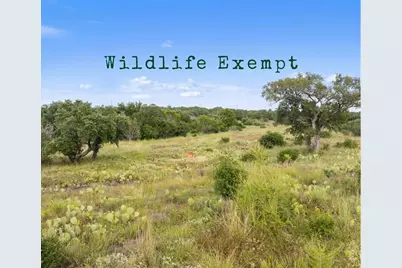 Tbd W Rr 962, Round Mountain, TX 78663 - Photo 1