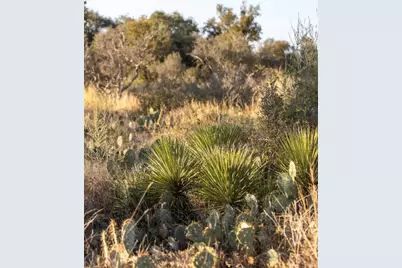Tbd W Rr 962, Round Mountain, TX 78663 - Photo 13