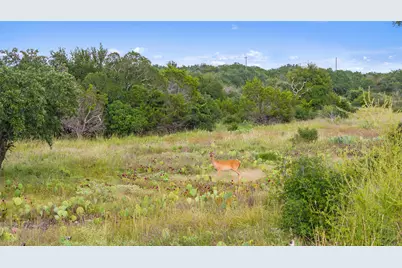 Tbd W Rr 962, Round Mountain, TX 78663 - Photo 15