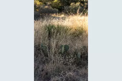 Tbd W Rr 962, Round Mountain, TX 78663 - Photo 9
