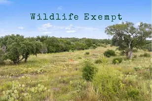 Tbd W Rr 962, Round Mountain, TX 78663 - Photo 1