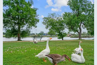 1120 Vance Street, Taylor, TX 76574 - Photo 37