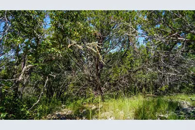 150 Branched Out Trail, Kerrville, TX 78028 - Photo 13