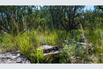 150 Branched Out Trail, Kerrville, TX 78028 - Photo 7