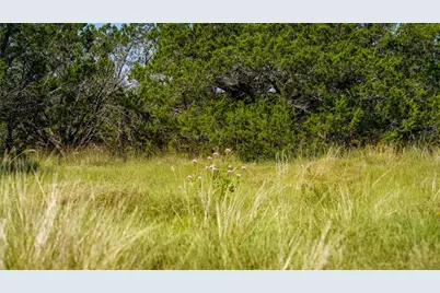 150 Branched Out Trail, Kerrville, TX 78028 - Photo 9