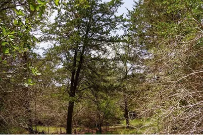 550 N Raymond Road, La Grange, TX 78945 - Photo 5