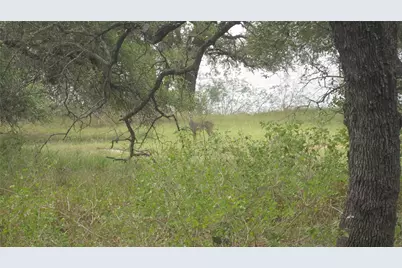 24205 Pedernales Drive, Spicewood, TX 78669 - Photo 5