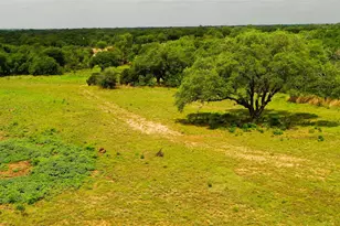 Tbd1 Cr 321, Bertram, TX 78605 - Photo 1